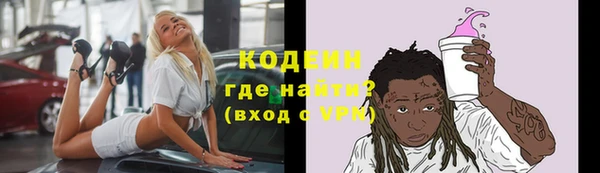 шишки Медвежьегорск