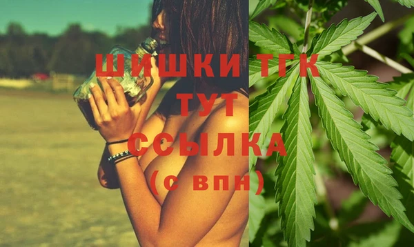 mix Богородицк