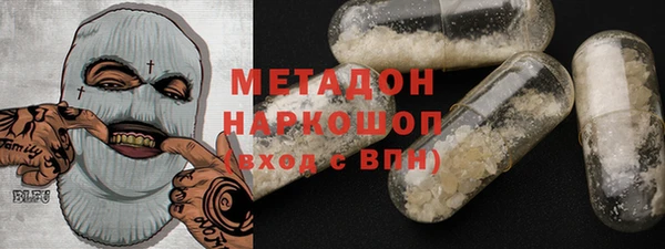 шишки Медвежьегорск