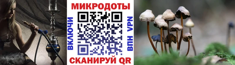 Галлюциногенные грибы Magic Shrooms  Черкесск 