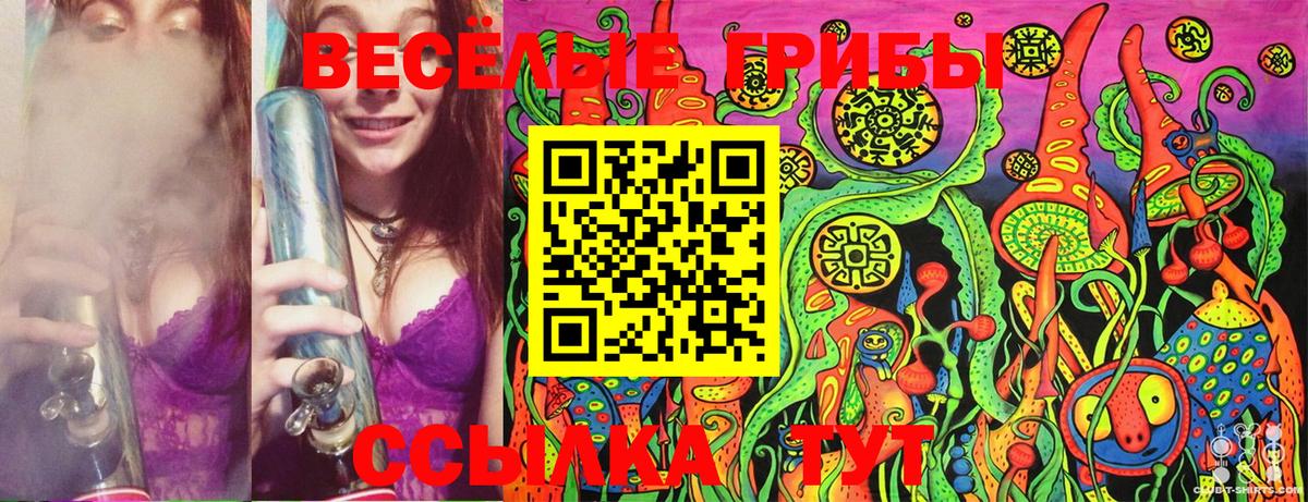 Галлюциногенные грибы мухоморы  Черкесск  Псилоцибиновые грибы ЛСД 