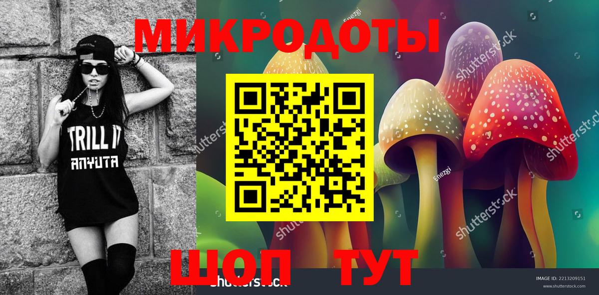 Псилоцибиновые грибы Cubensis Черкесск