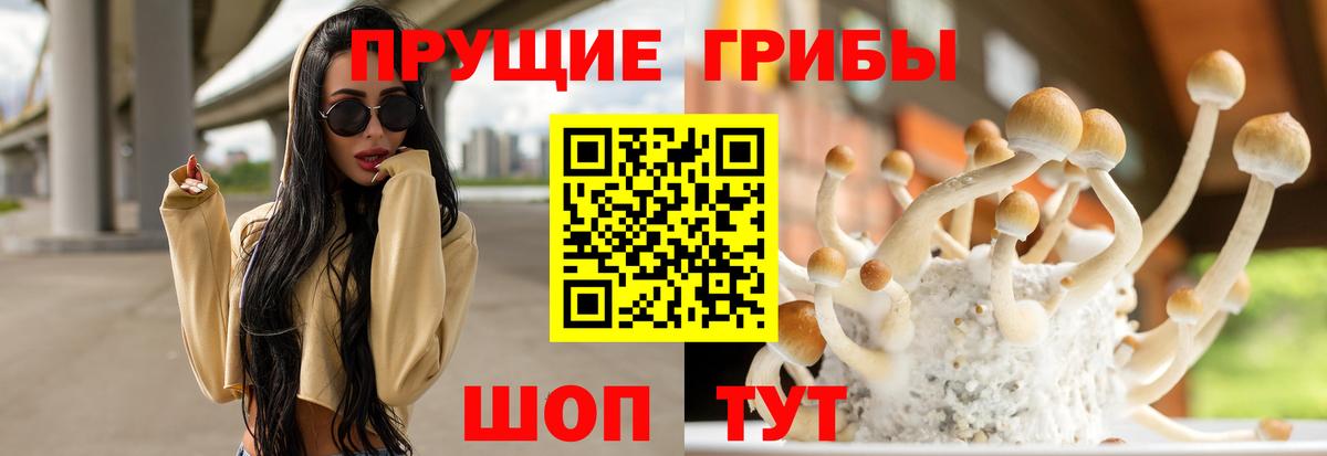 Черкесск  Галлюциногенные грибы прущие грибы  Вход с VPN  Галлюциногенные грибы мицелий 