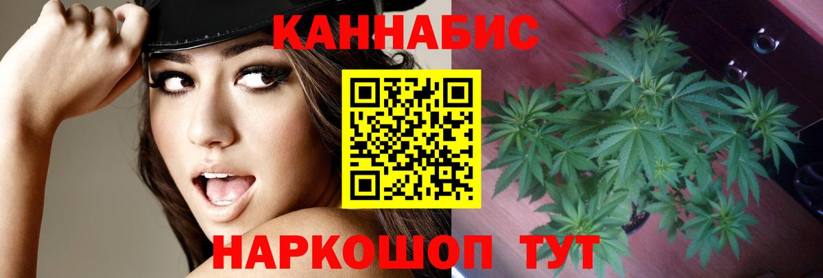 Черкесск  Шишки марихуана конопля  Шишки марихуана сатива  Конопля AK-47  Вход с VPN 